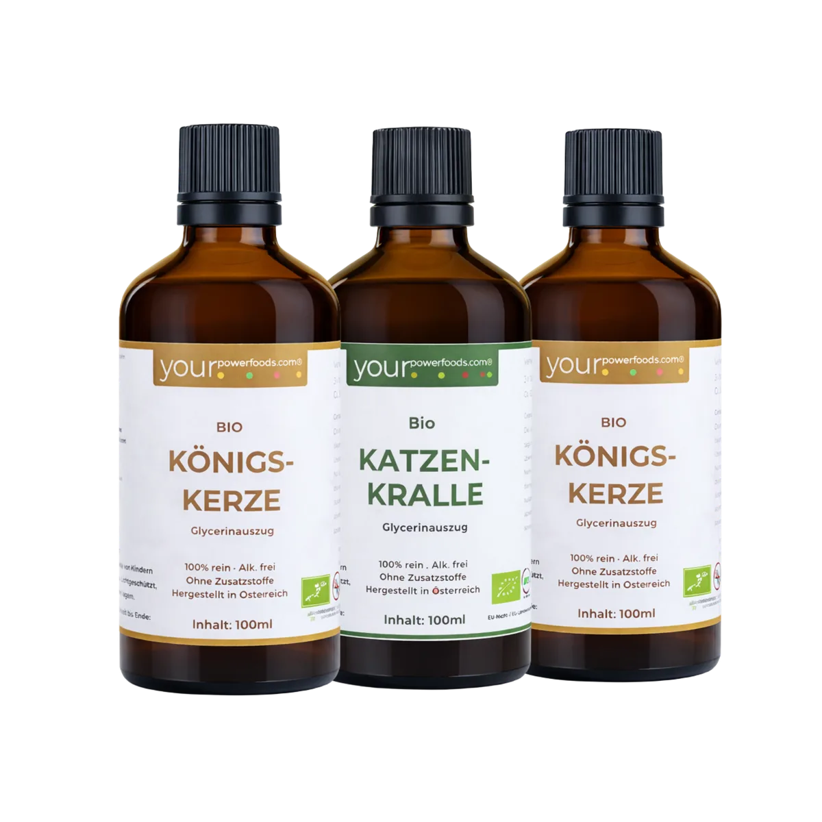 Saisonales Pflanzenbundle für  Winter & Frühling