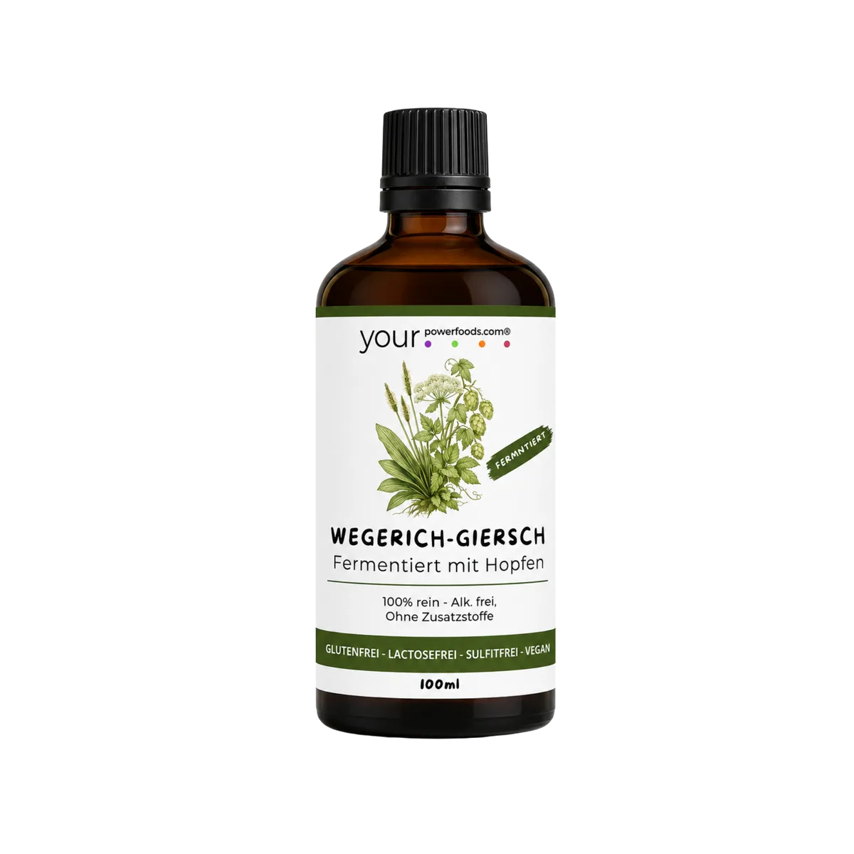 Wegerich-Giersch – Elixier, fermentiert, 100 ml